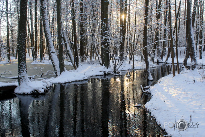 Mārupītē Ziemas pali...