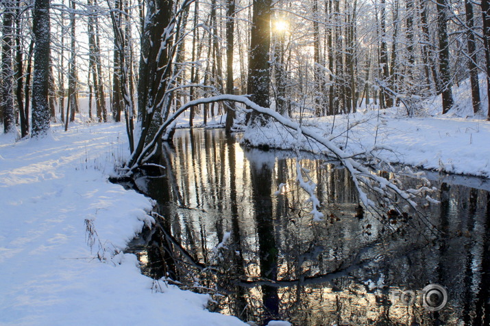 Mārupītē Ziemas pali...