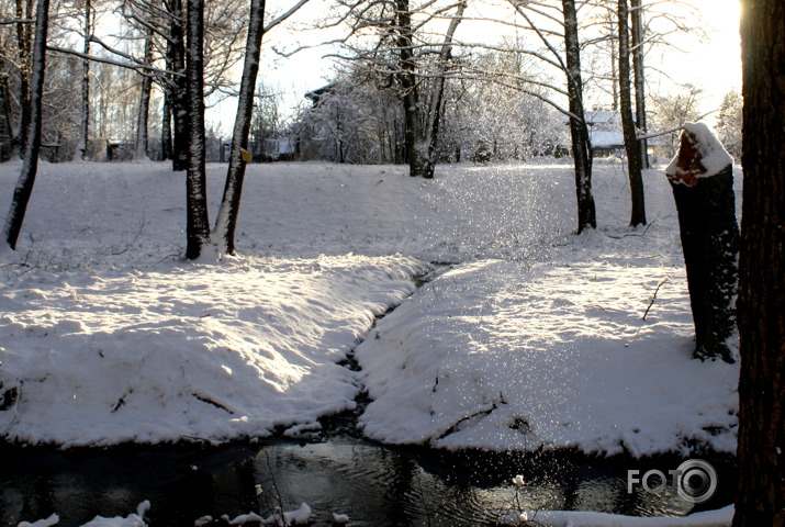 Mārupītē Ziemas pali...