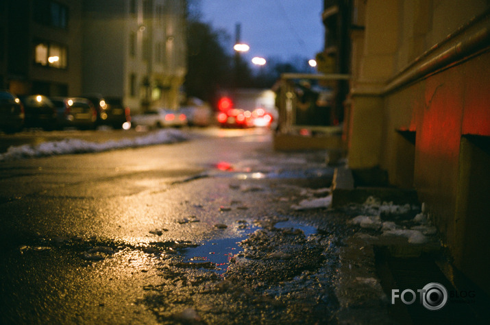 Slapjdraņķis pilsētā