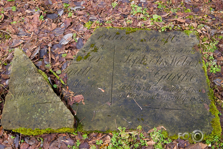 In†erNaCcionālais roman†isms