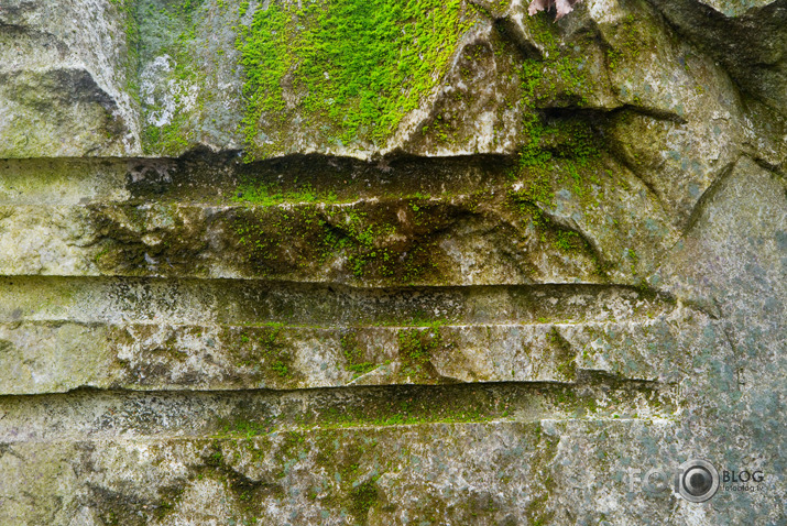 In†erNaCcionālais roman†isms