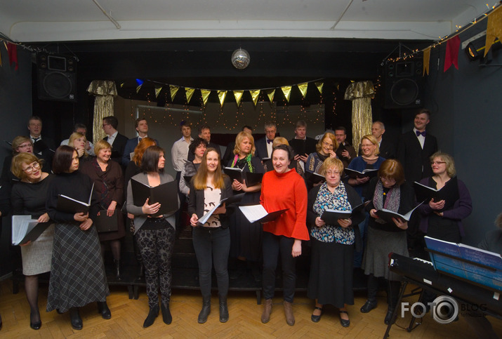 Salve Zirgu ielā pie zirga