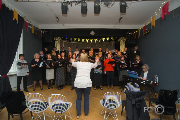 Salve Zirgu ielā pie zirga