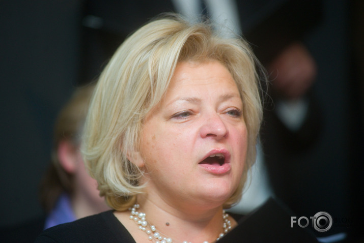 Salve Zirgu ielā pie zirga