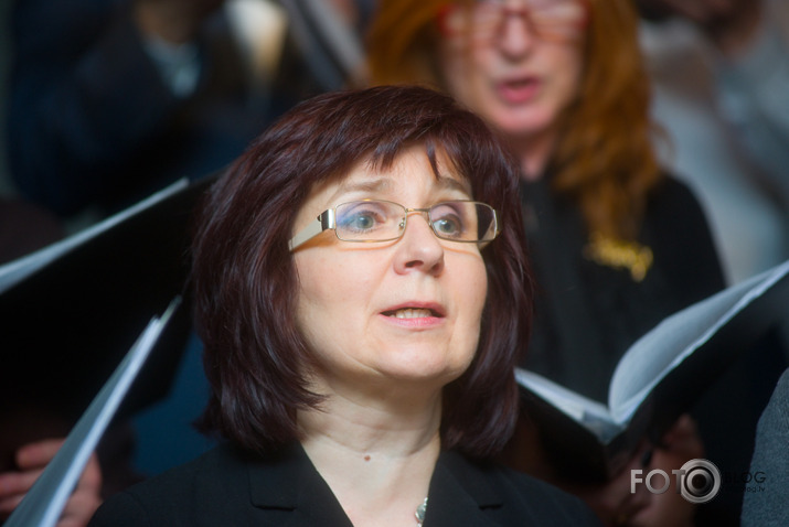 Salve Zirgu ielā pie zirga