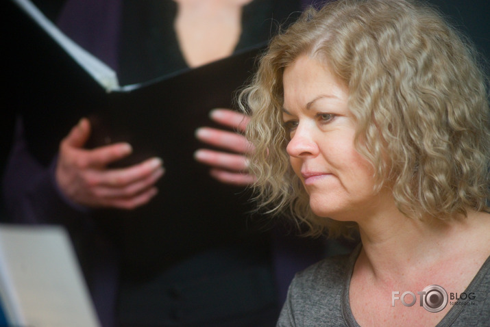 Salve Zirgu ielā pie zirga