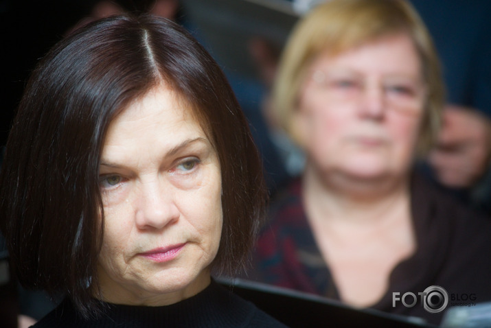 Salve Zirgu ielā pie zirga