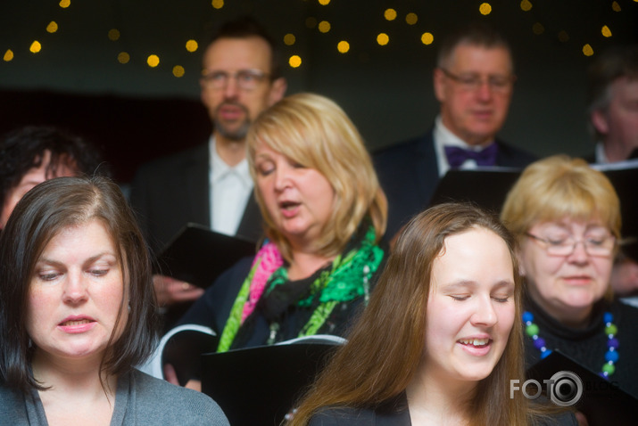 Salve Zirgu ielā pie zirga