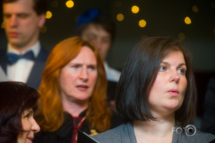 Salve Zirgu ielā pie zirga