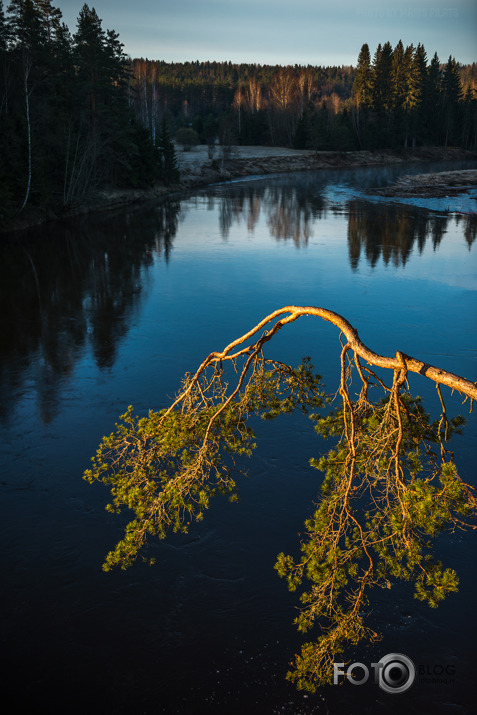 Maza rīta pastaiga