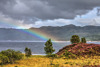 Moody rainbow in Glen Affric (highlands)
