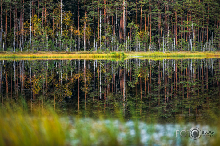 Saule un visums