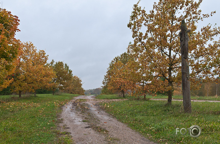 Rudens mozaīka