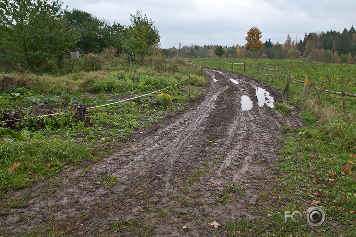 Rudens mozaīka