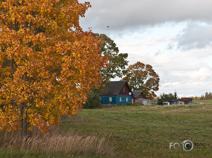 Rudens mozaīka