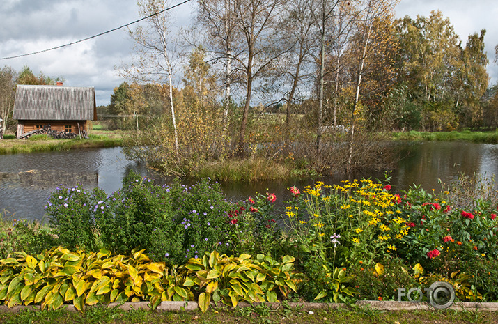 Rudens mozaīka