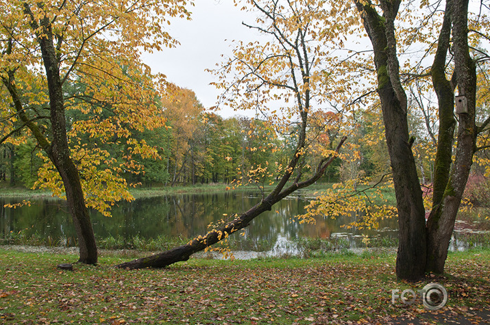 Rudens mozaīka