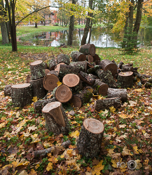 Rudens mozaīka