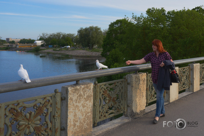 Leks,  lidos vai kā>>>