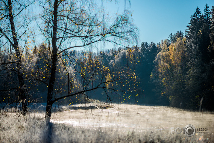 nedaudz par viņu