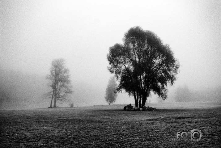 Melnbaltais foto...