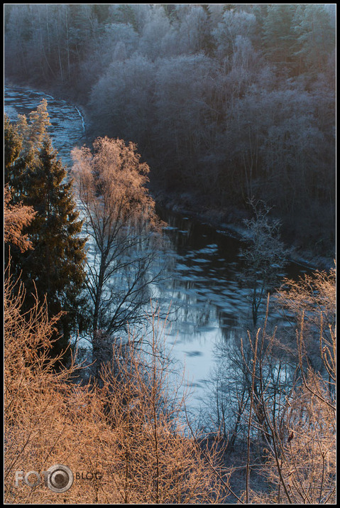 Gauja aizsalst