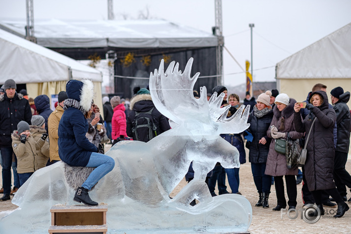 Paldies Jelgavas ledus skulptūru organizatoriem