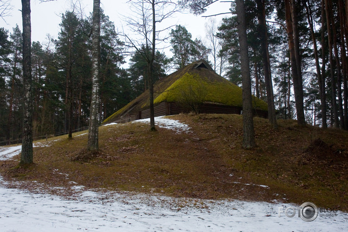 3 mīlestibas stundas "open air" sūnu ciemā