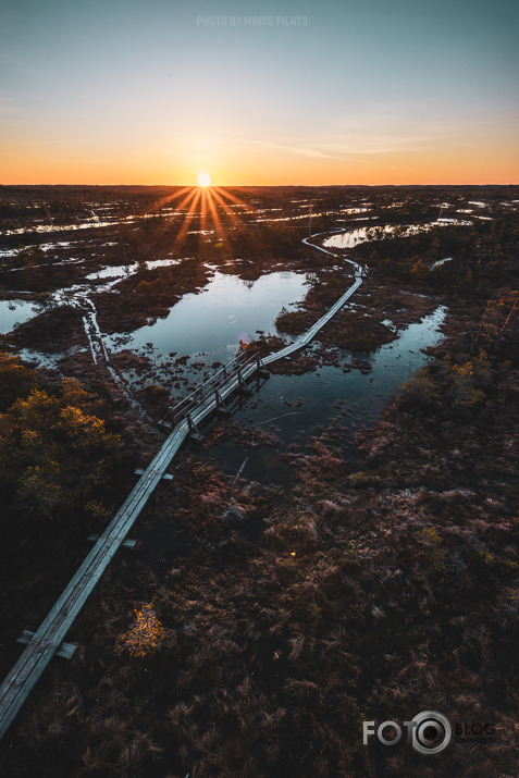 Gāju lūkot ziemeļmeitu - neatnāca