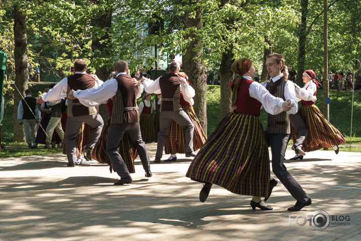 Stādu dienas Jelgavā 2018