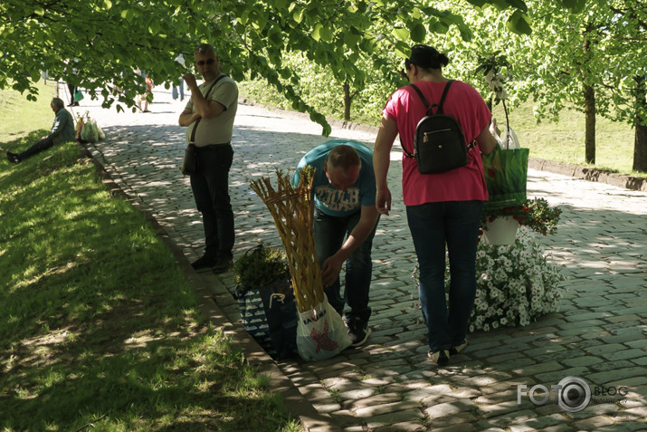 stādu dienas Jelgavā 201s