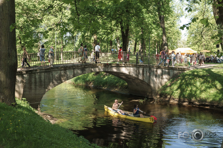 2018. gada stādu dienas Jelgavā.
