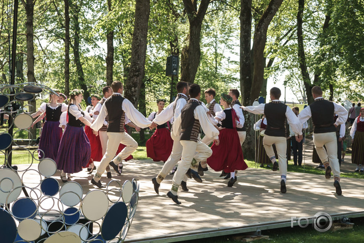 2018. gada stādu dienas Jelgavā.