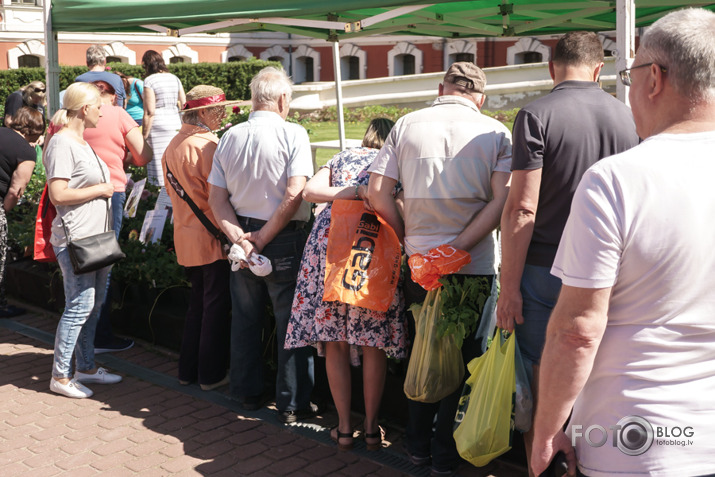 2018. gada stādu dienas Jelgavā.