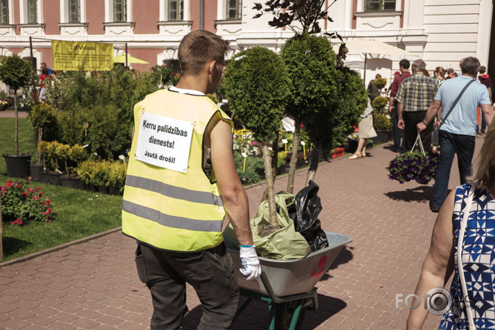 2018. gada stādu dienas Jelgavā.