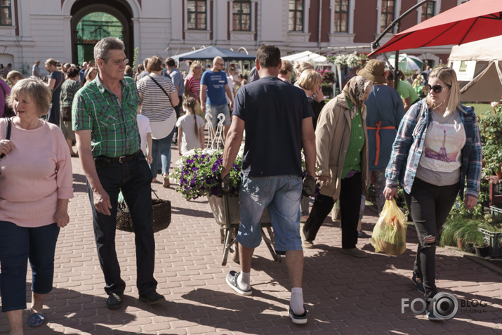 2018. gada stādu dienas Jelgavā