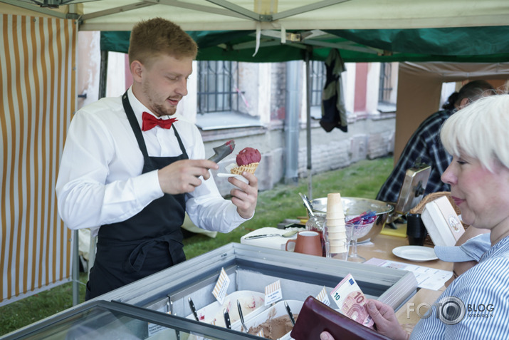 2018. gada stādu dienas Jelgavā