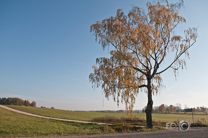 Rudentiņš