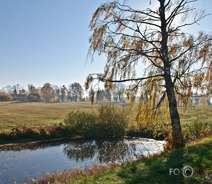 Rudentiņš