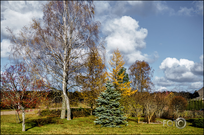 rudens konsīlijs