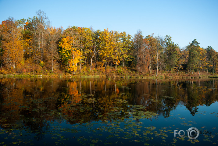 Rudens rīts