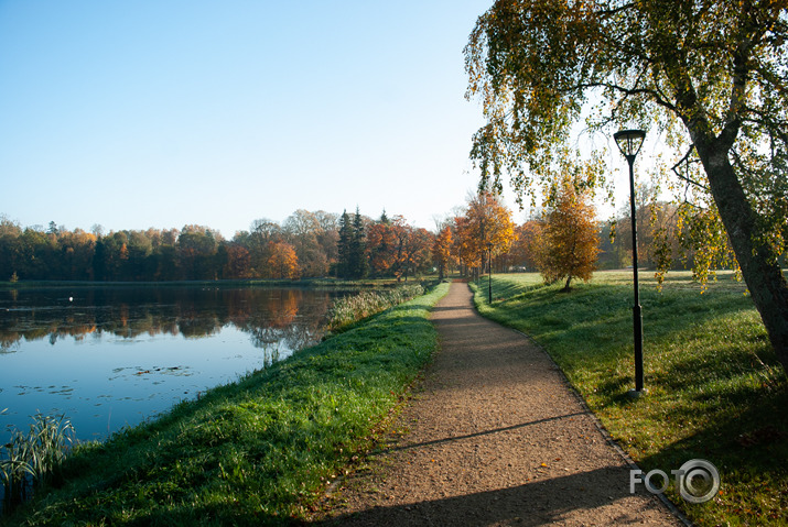 Rudens rīts