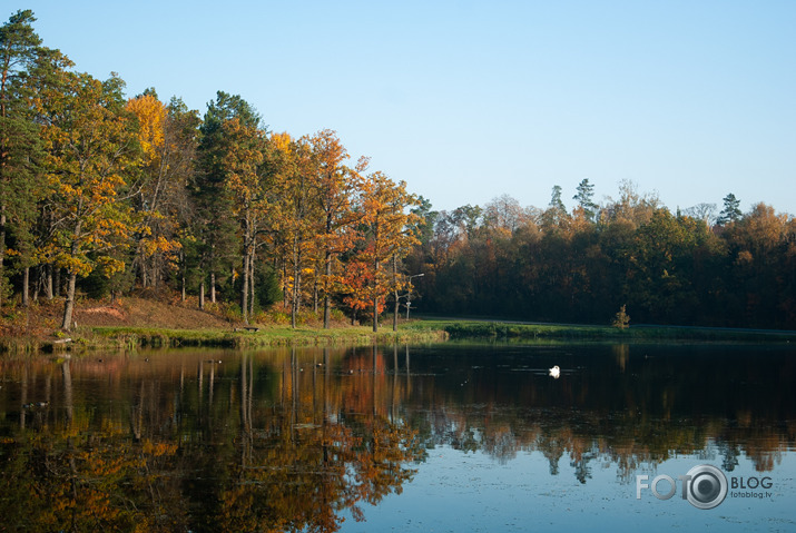 Rudens rīts