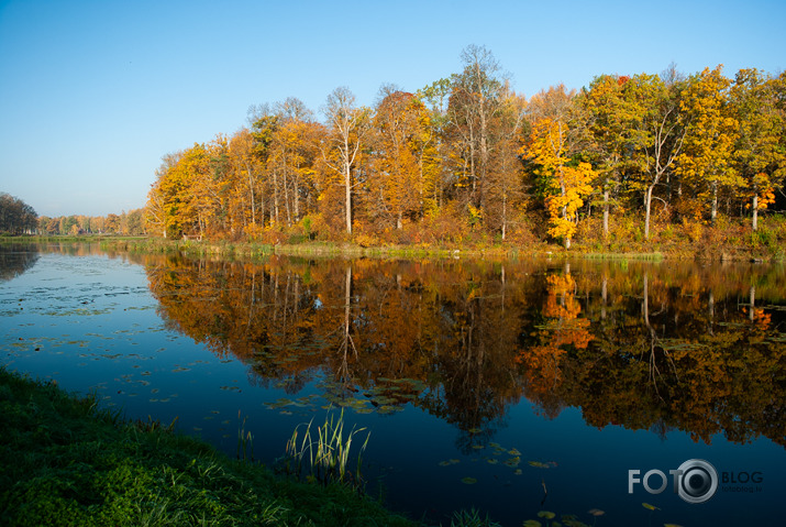 Rudens rīts