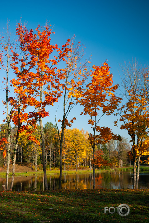 Rudens rīts