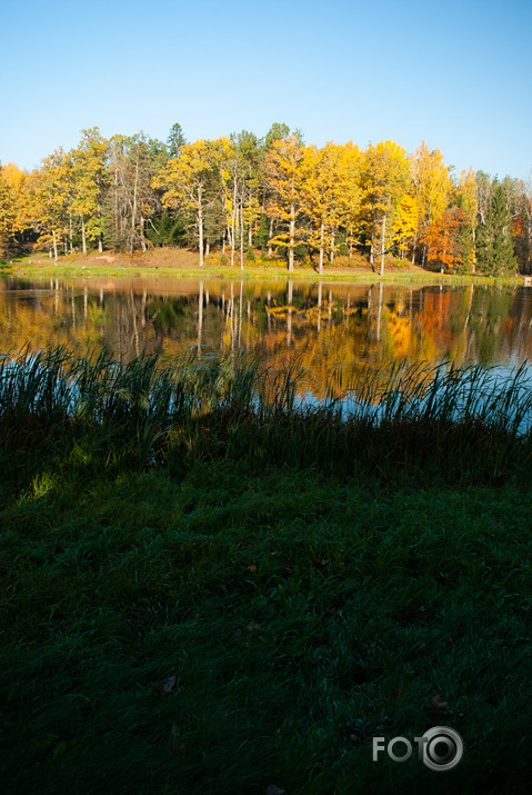 Rudens rīts