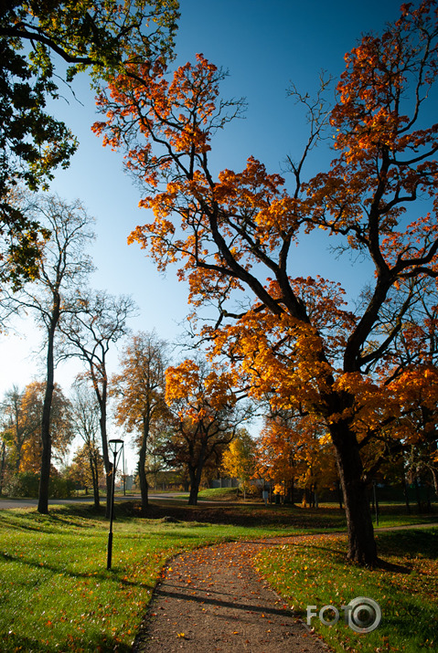 Rudens rīts