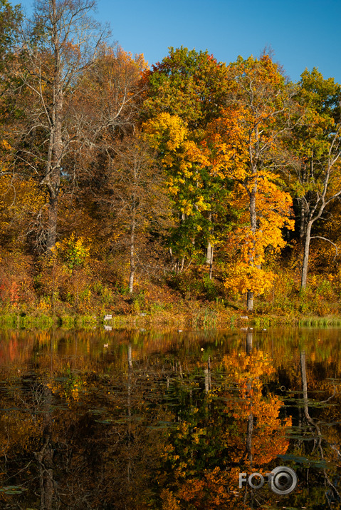 Rudens rīts