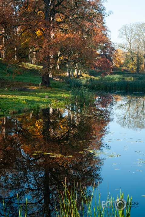 Rudens rīts